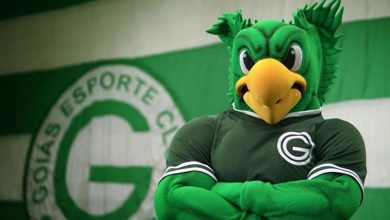 Goias escudo