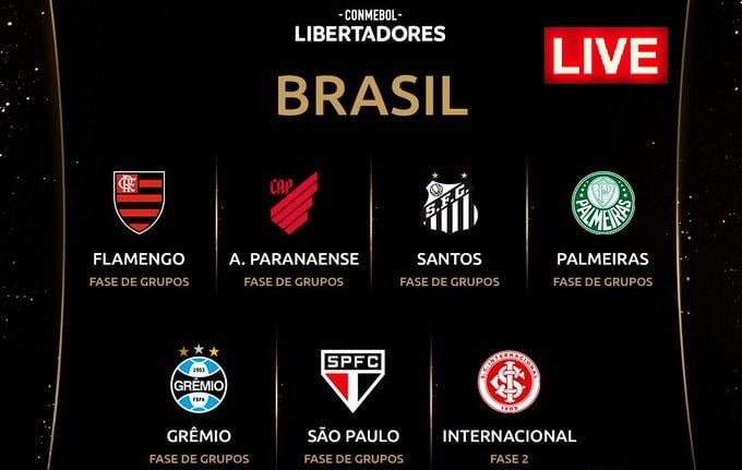 Brasileiros na Libertadores