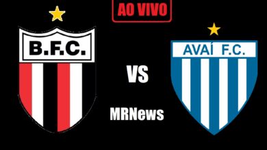 Botafogo-SP x Avaí