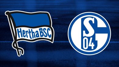 Hertha Berlin x Schalke 04