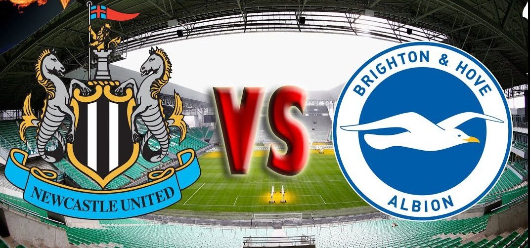 Newcastle x Brighton